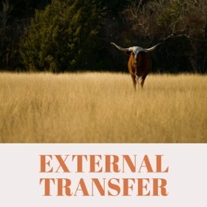 External Transfer
