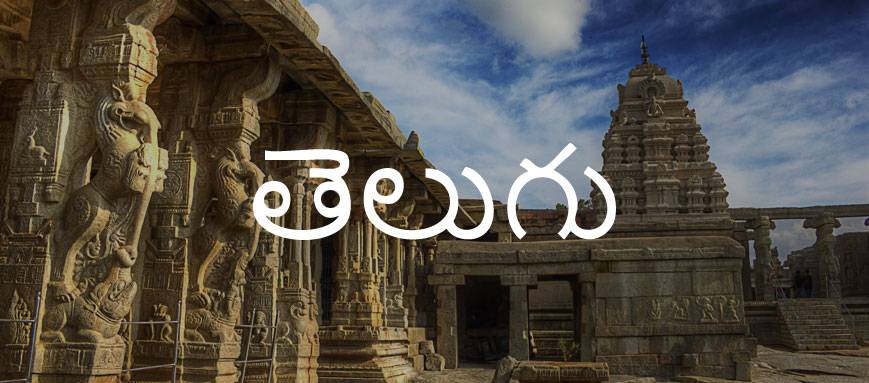 A dravidian temple, overlaid with Telugu