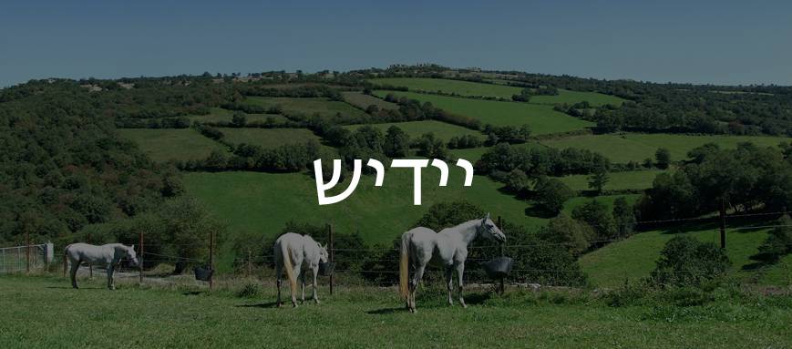 Three horses in a lush field, overlaid with Yiddish script