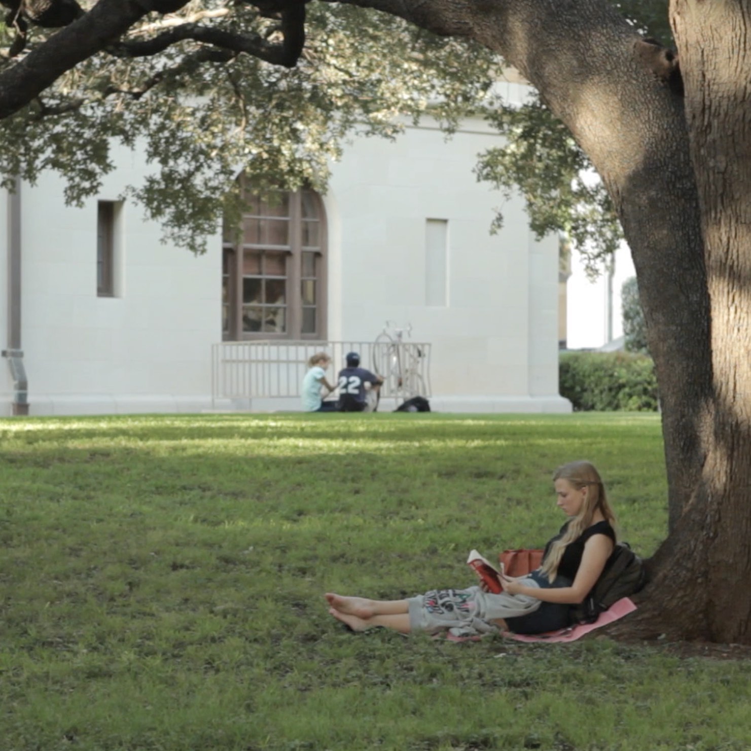 a student sitting against the trunk of a tree while reading a book